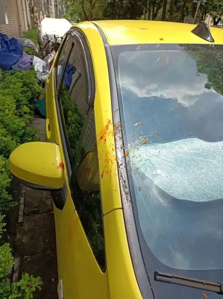 小区内有车辆被扔垃圾