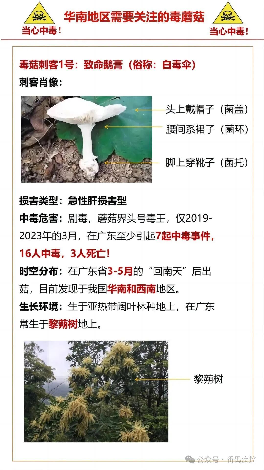 有毒这种东西进入疯长季华南地区最常见