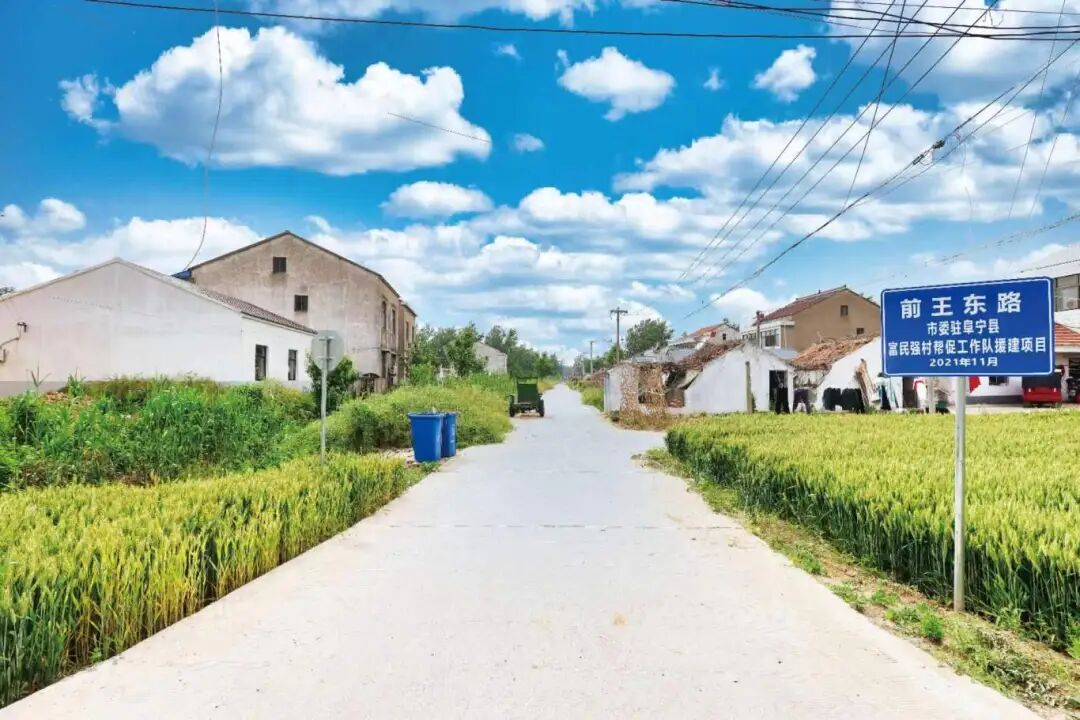 江苏阜宁:外来领"头雁",筑梦乡村振兴绘"新景"-盐城新闻网