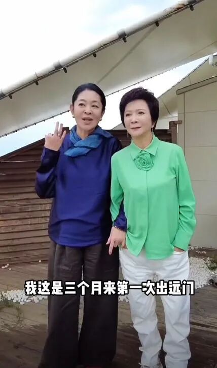 “三个月来第一次出远门！” 65岁倪萍自曝从楼梯摔下骨折