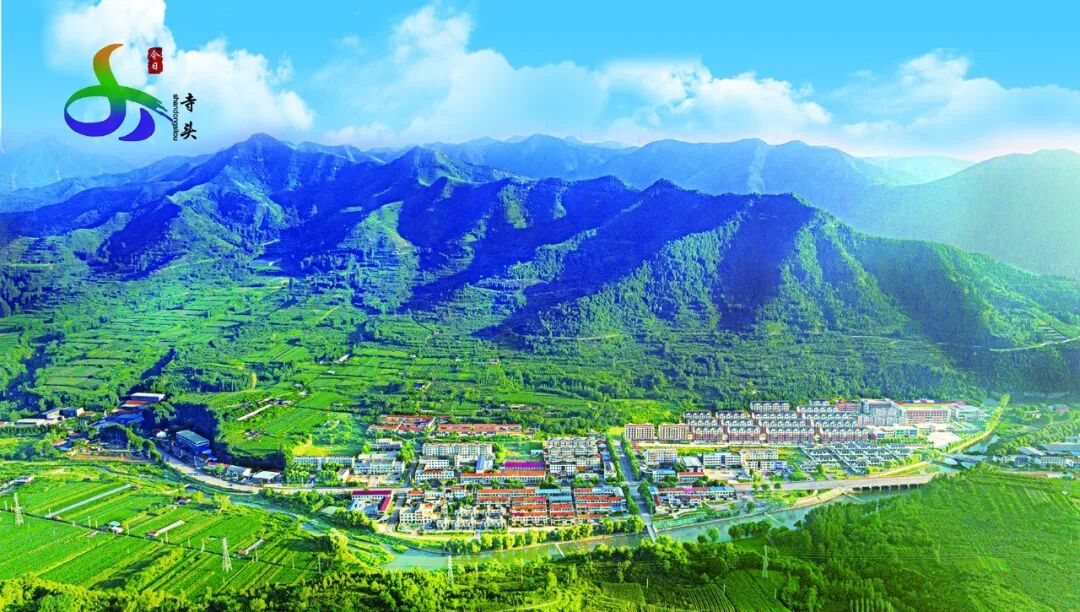 高质量发展｜《道路隔离金属护栏》团体标准审定会在寺头镇召开