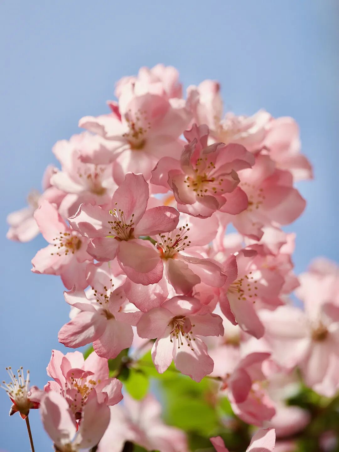 耦合剂怎么加热这个冬季有点暖！来自冕宁县人民医院超声科的暖心服务——耦合剂恒温加热_https://www.jmylbn.com_新闻资讯_第21张