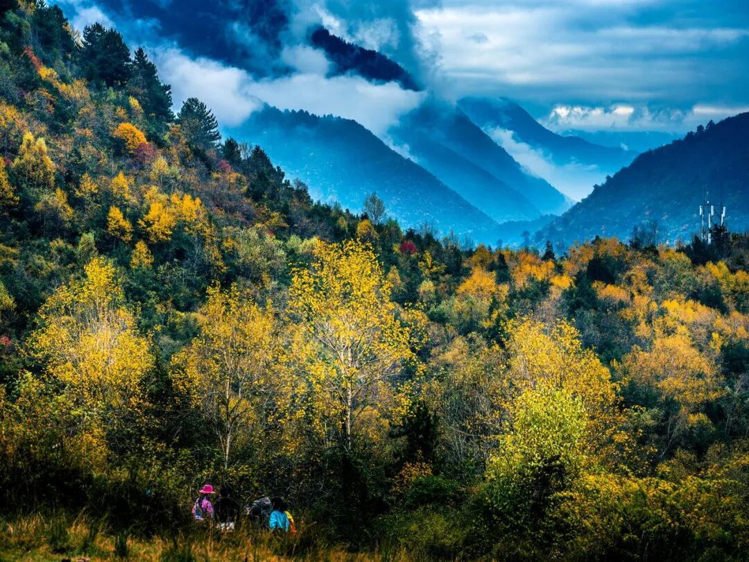 中国秋景0差评的小县城，不输九寨，红叶林是北京香山的180倍，浓缩了整个川西的精华，美疯！