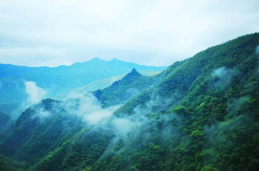 浙江唯一免费的5A古镇，不要只会去乌镇人挤人了！白居易疯狂表白，美到窒息，物价还低...