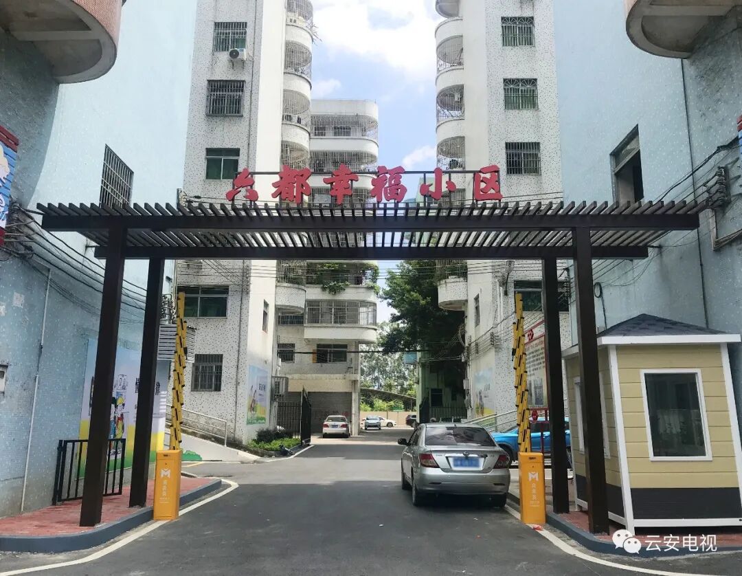 六都这个"三无小区"华丽变身,住户纷纷点赞!