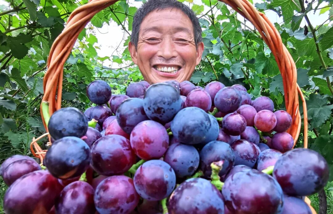 ͼƬ