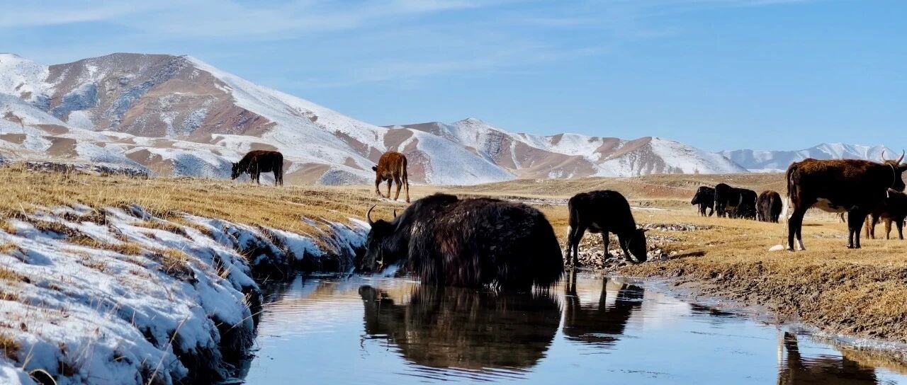丁真爆火后，你最想去哪些地方旅拍？