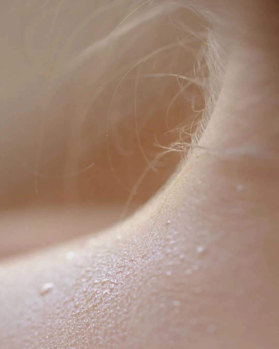 这些局部特写好美啊啊啊啊啊啊啊啊