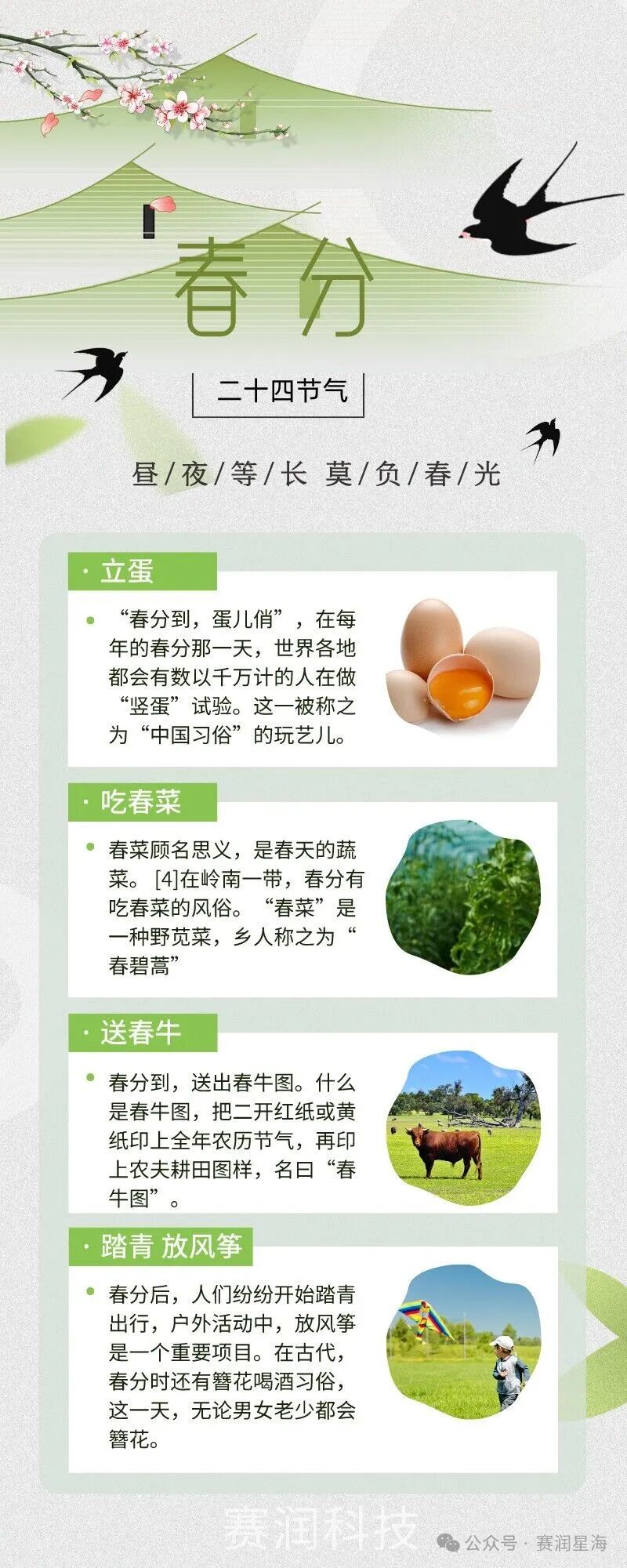 伴着春风，赛润的荣誉又添一枚 第4张