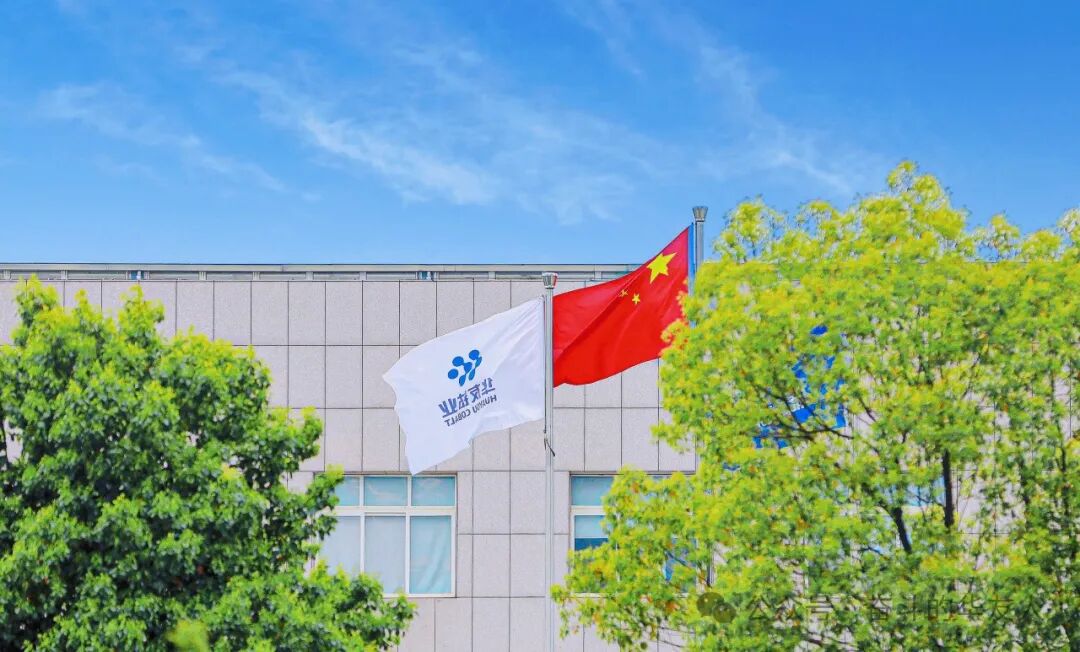 华友钴业入选“一带一路”最佳实践案例！