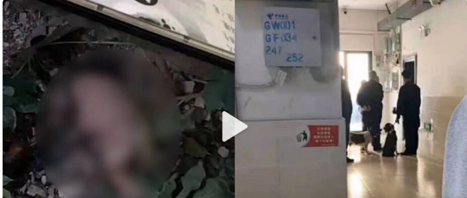 17岁安徽职院少女宿舍产子弃婴，子宫都伤了：性上瘾，究竟毁了多少女孩