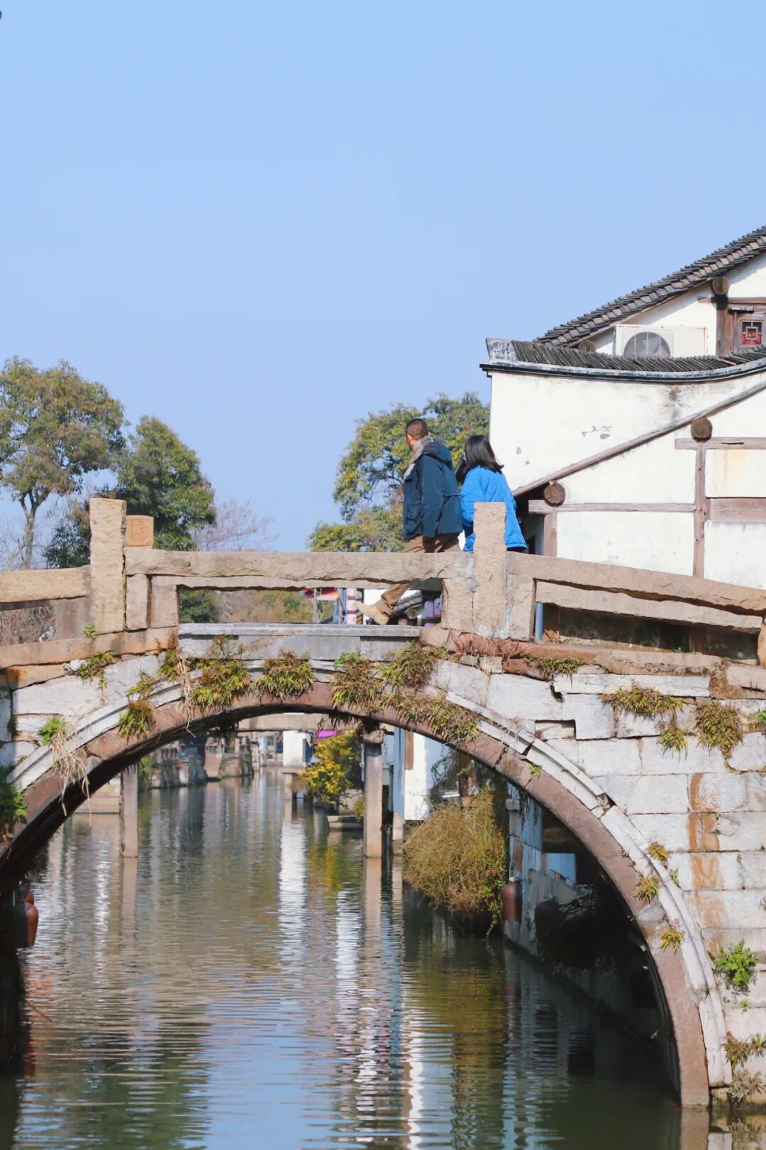 春天到了总要来一趟枫泾吧