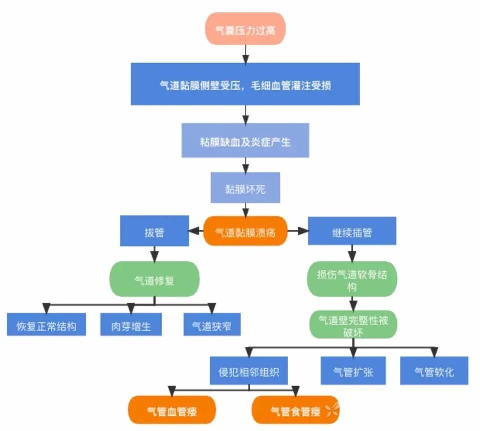 呼吸回路管怎么使用汇邦科普｜人工气道的气囊管理_https://www.jmylbn.com_新闻资讯_第3张