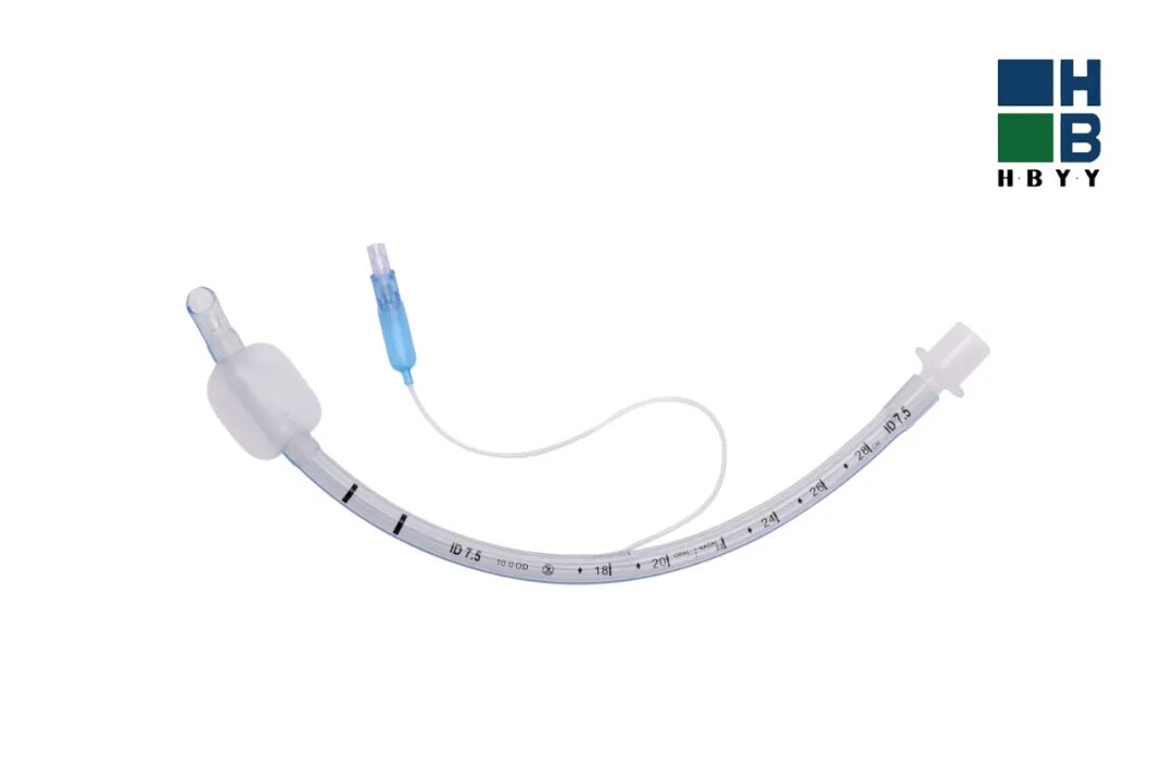 气管插管牙垫怎么放科普 ｜ 关于气管插管最全总结_https://www.jmylbn.com_新闻资讯_第1张