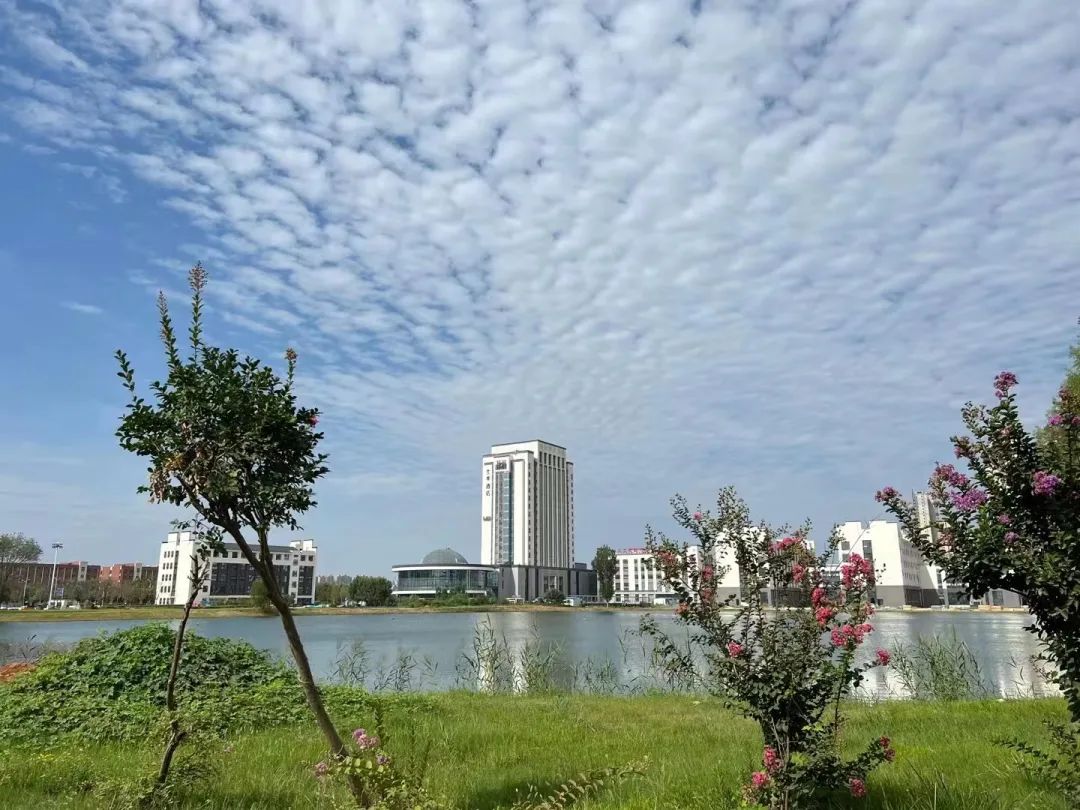 菏澤職業學院_菏澤學院職業技術學院_菏澤學院職業規劃大賽