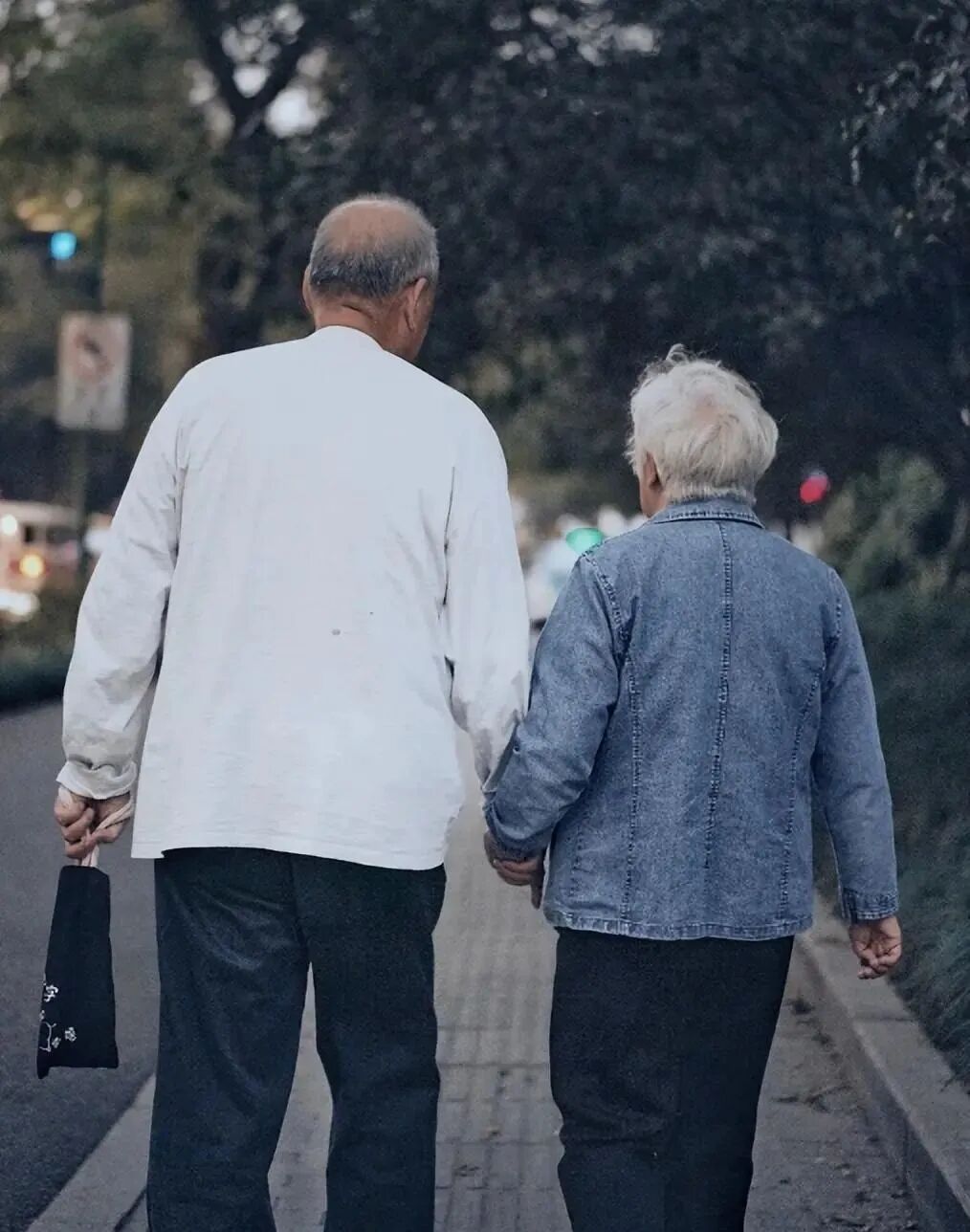 中国最适合老夫老妻去的4个旅行地，70岁之前请一定要去一次