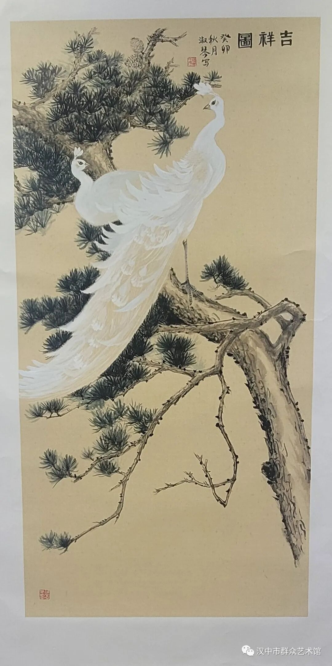 图片