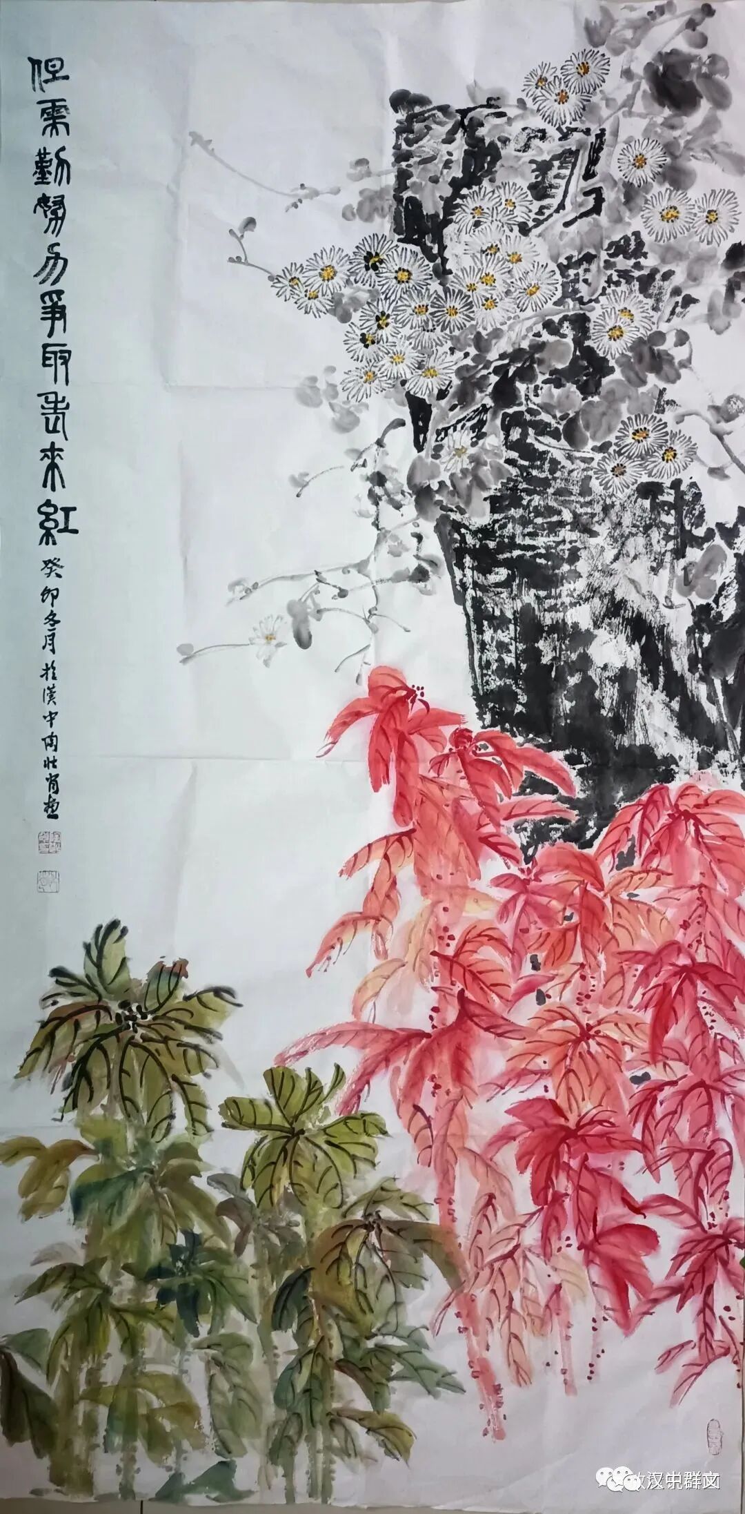 图片