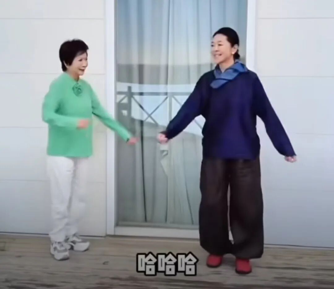 “三个月来第一次出远门！” 65岁倪萍自曝从楼梯摔下骨折