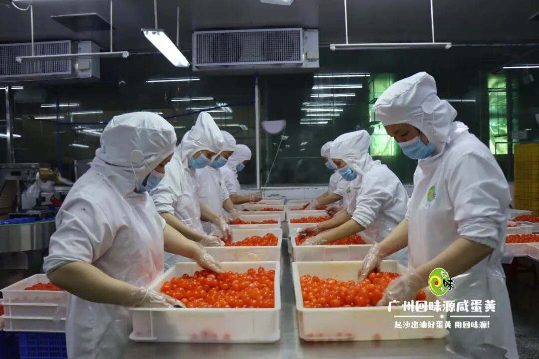 回味源高端定制咸蛋黄：2024年，回味源专注咸蛋黄行业的第28年(图5)