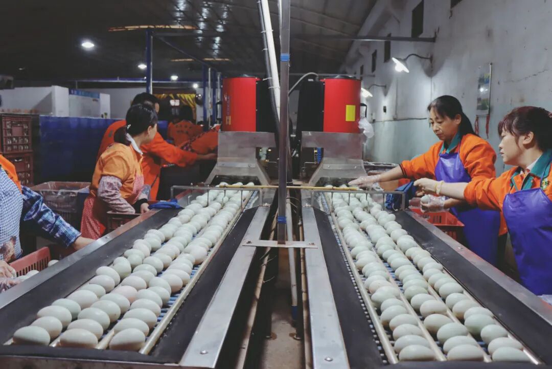 回味源高端定制咸蛋黄：2024年，回味源专注咸蛋黄行业的第28年(图4)