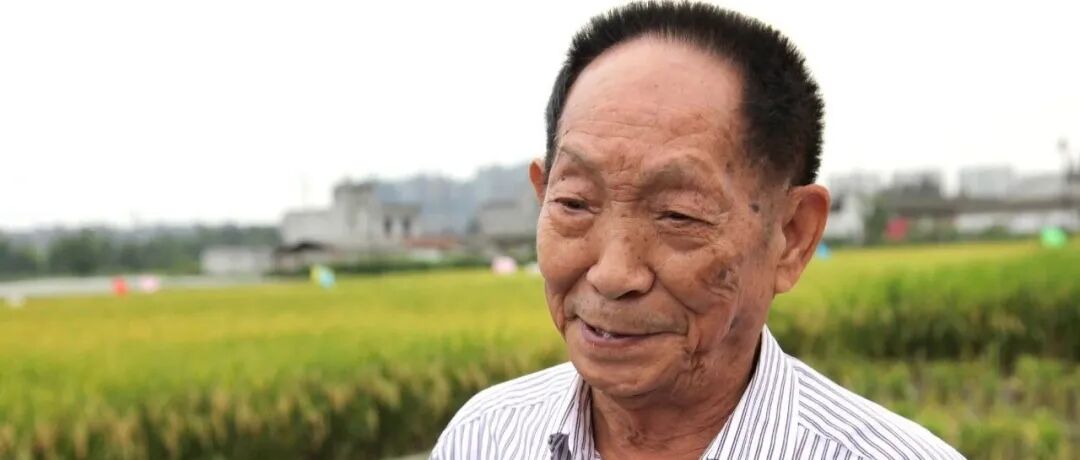 文章封面