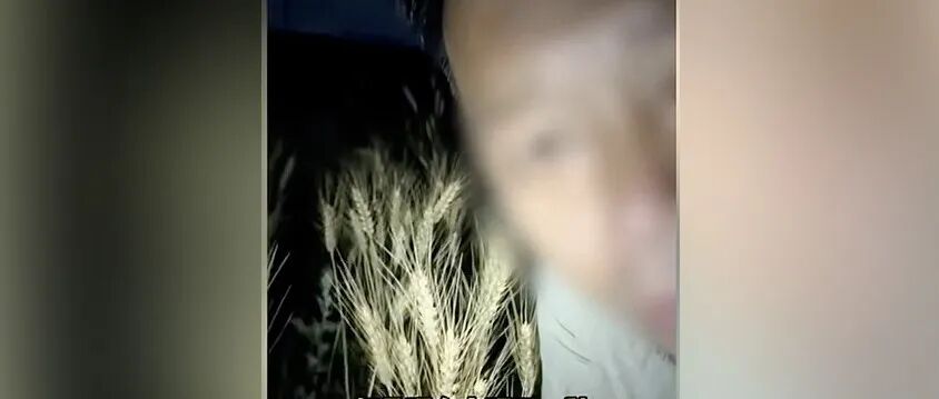 文章封面