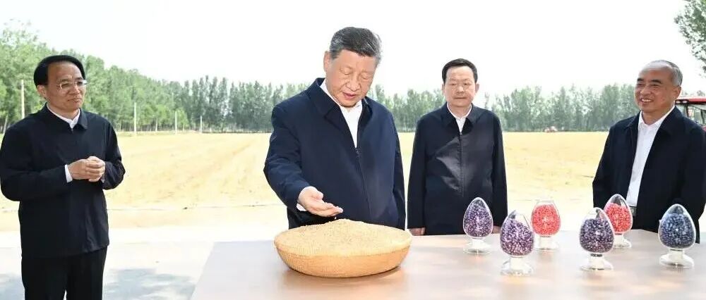 文章封面