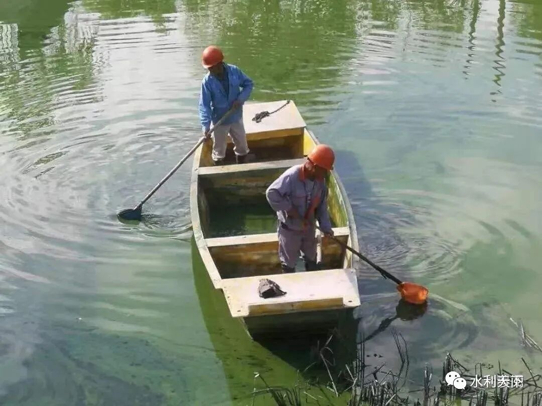 朱喜：治理平原河网水污染净化河水提升水质