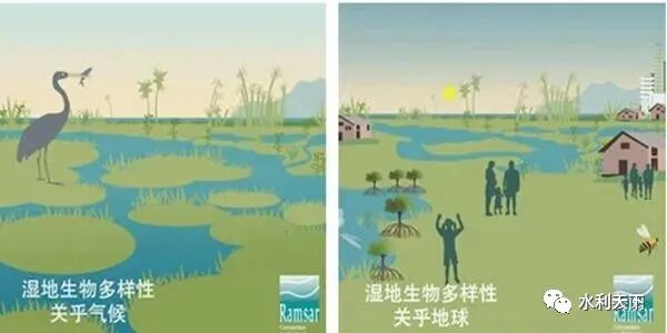 朱喜：治理平原河网水污染净化河水提升水质