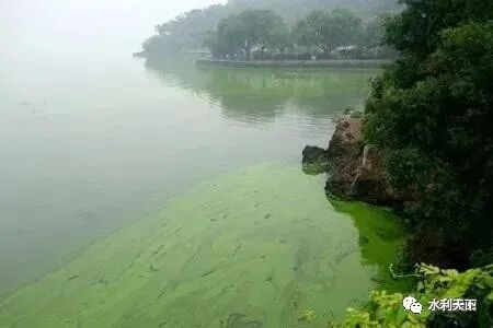 朱喜：治理平原河网水污染净化河水提升水质