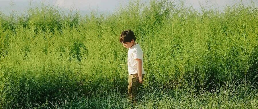 “顶嘴”与“不顶嘴”的孩子，二十年后差距明显，父母别不在意