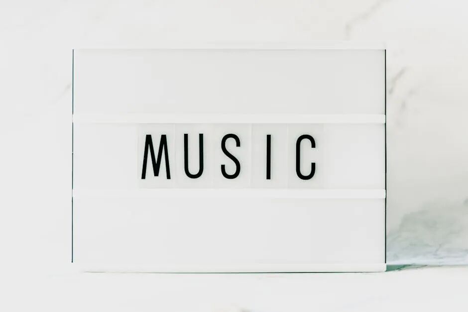 歌曲下载音乐网_歌曲下载音乐代下歌单_音乐歌曲下载