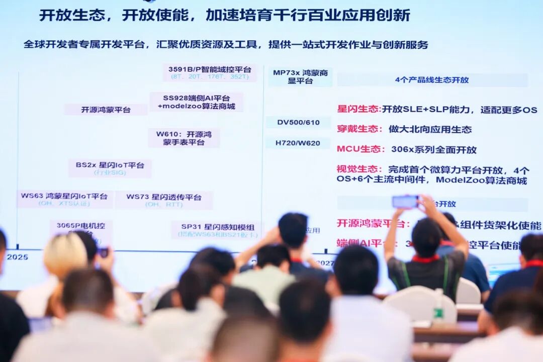 “星芯向荣，与创新者同行”，2025年上海海思生态技术研讨会·成都站成功举办