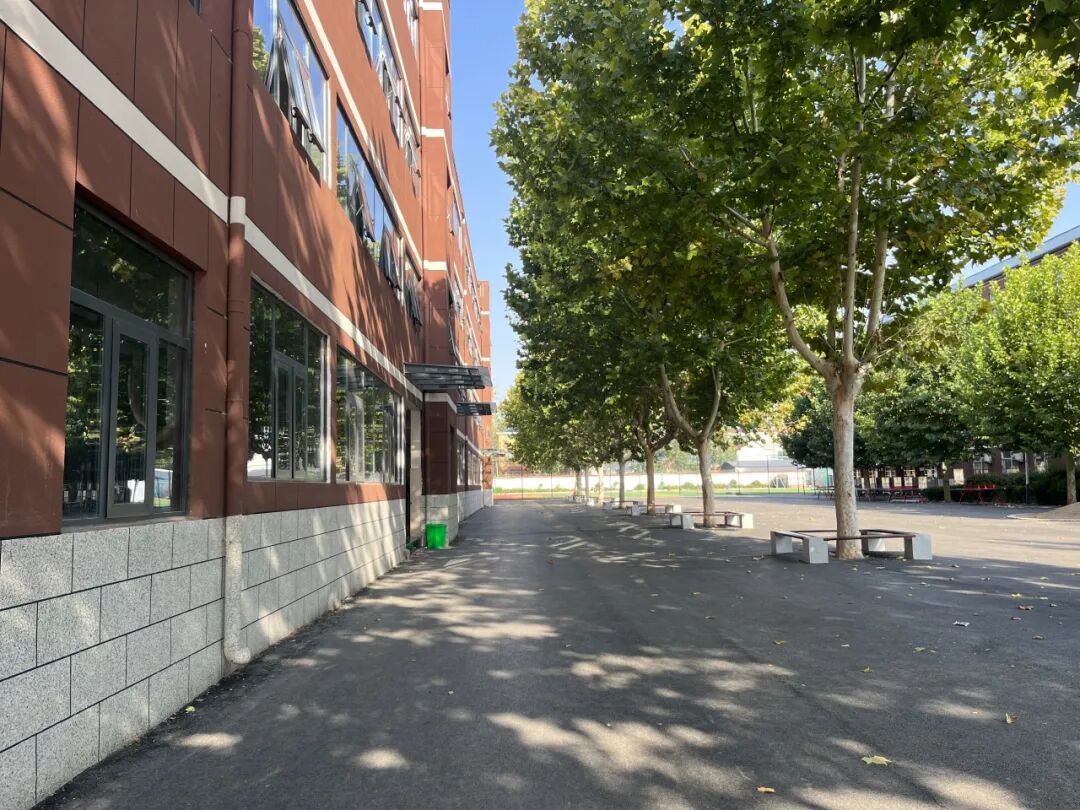 2024年河南省教師資格證報名時間_河南省教師資格證的報名時間_河南省教師資格證報名截止日期