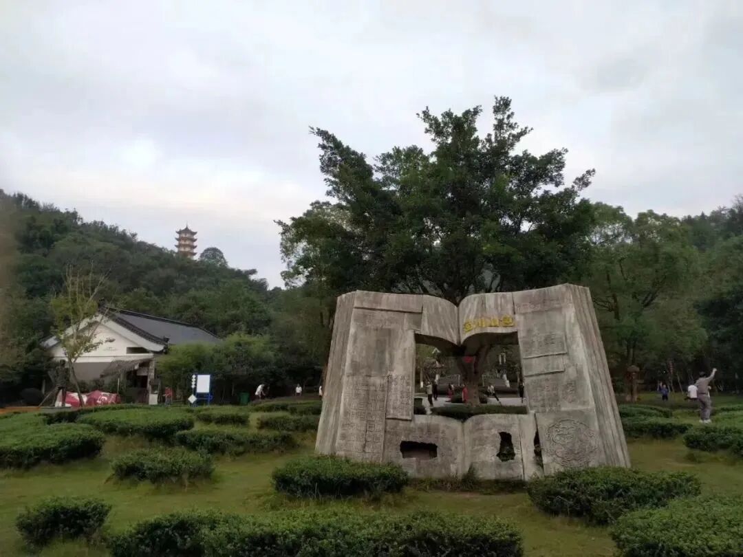 超美温州平阳山边的公园现在去正好