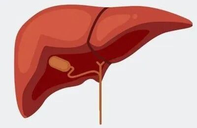 "乳腺癌患者必看！依西美坦如何精准狙击雌激素？医生不愿透露的3个关键机制(图27)
