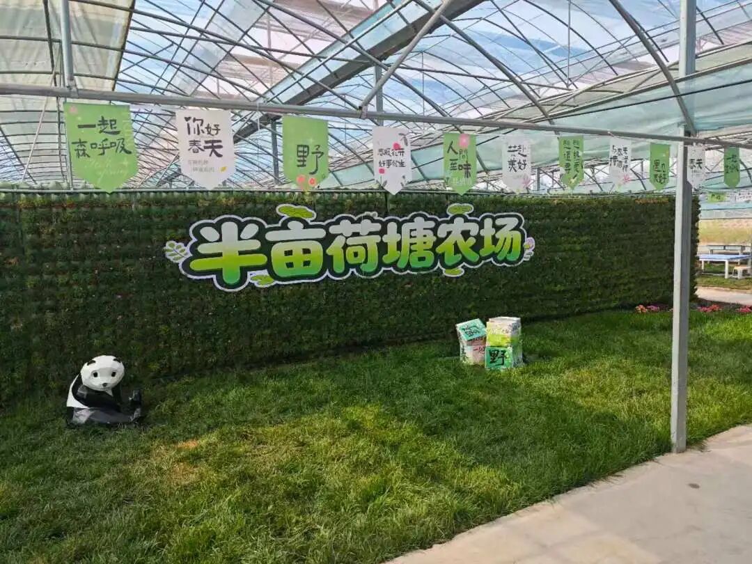 经开区0.jpg