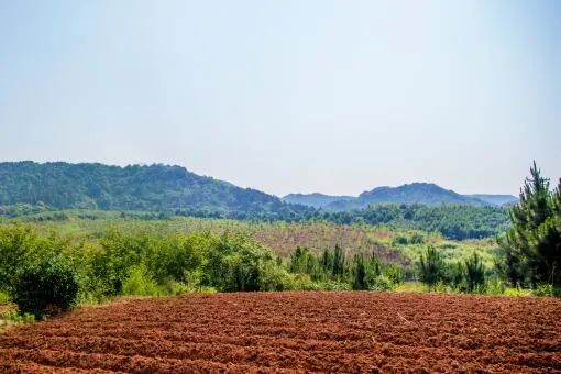 承包地征收补偿费用分配纠纷是什么？承包地建房拆除有补偿款吗？