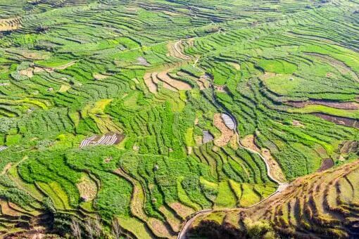 政策解读｜你知道2021年农村土地有什么新政策吗？万典律师为你解读