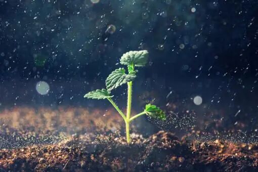 为保护当事人的合法权益，万典律师为你整理最全土地权属争议调查处理方法！