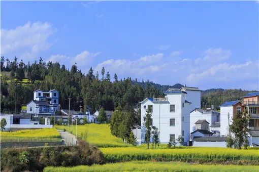 万典律师告诉你:2021年没有宅基地的农民怎么办?宅基地可以转让吗? 万典律师告诉你:2021年没有宅基地的农民怎么办?宅基地可以转让吗?