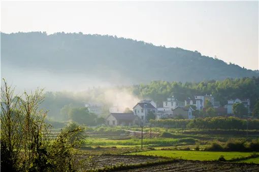 外嫁女户口没有迁出,集体征地是否有补偿？如何分配？