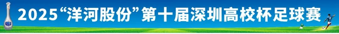 刘强东观赛宿迁队进球激情振臂，洋河股份携手苏超助力体育产业发展