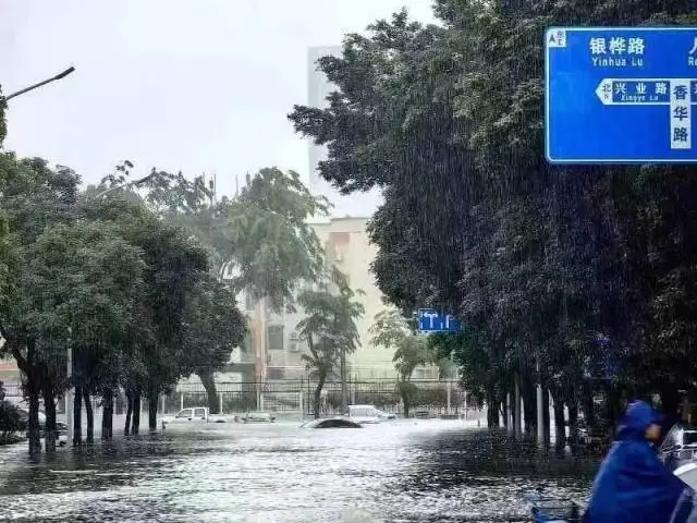 广东60个暴雨预警信号生效中!(图2) 图片