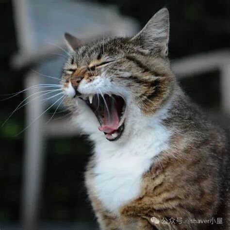 名词辨析：人工智能、机器学习、神经网络和深度学习