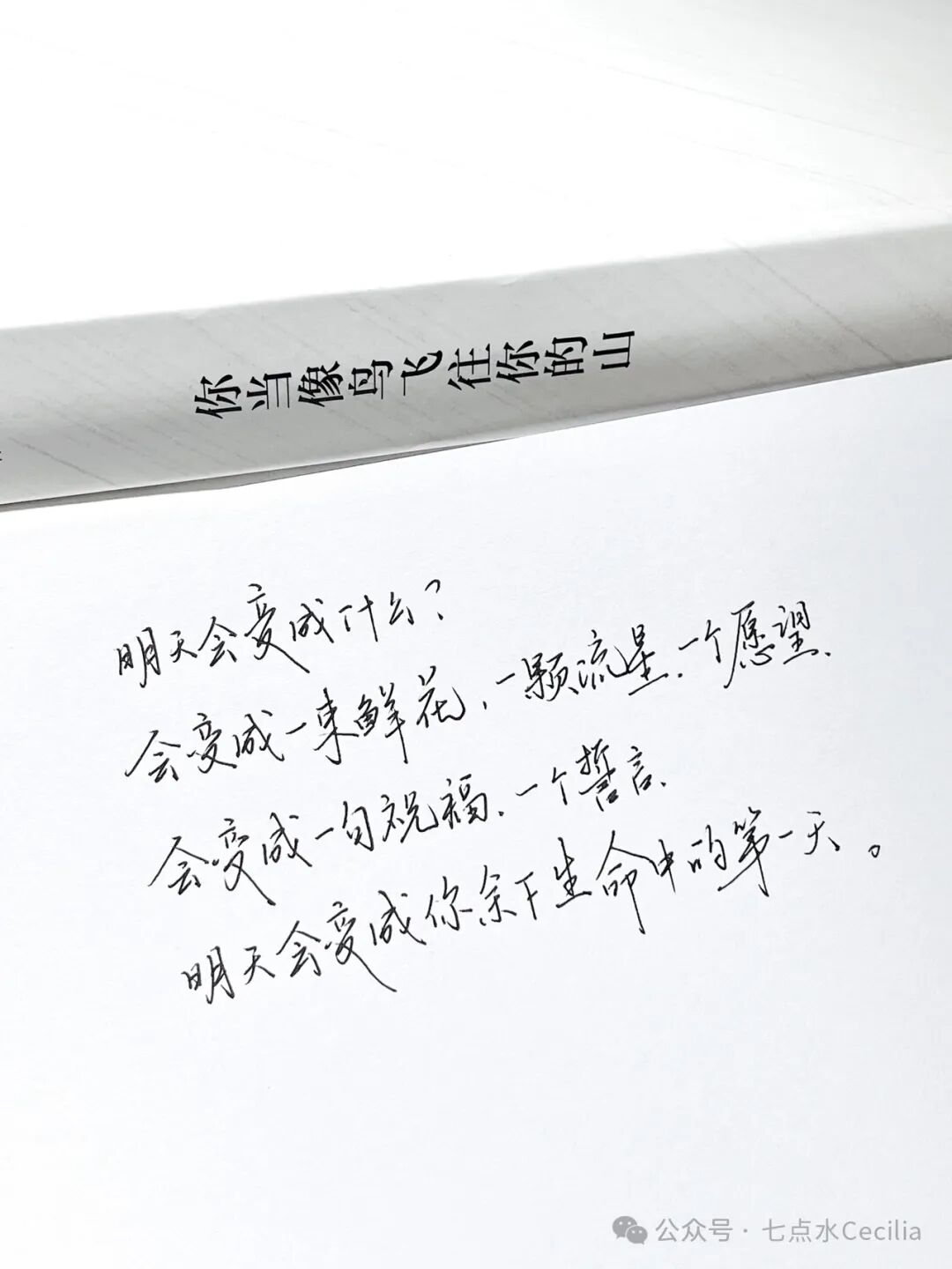湿气重怎么排湿最有效