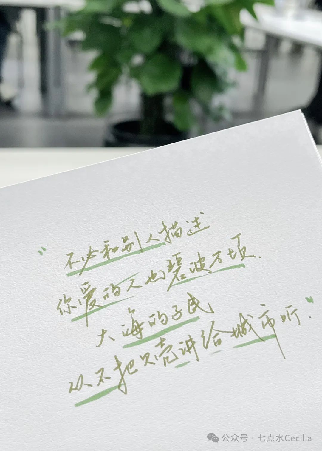 君不见诗集惊竹娇