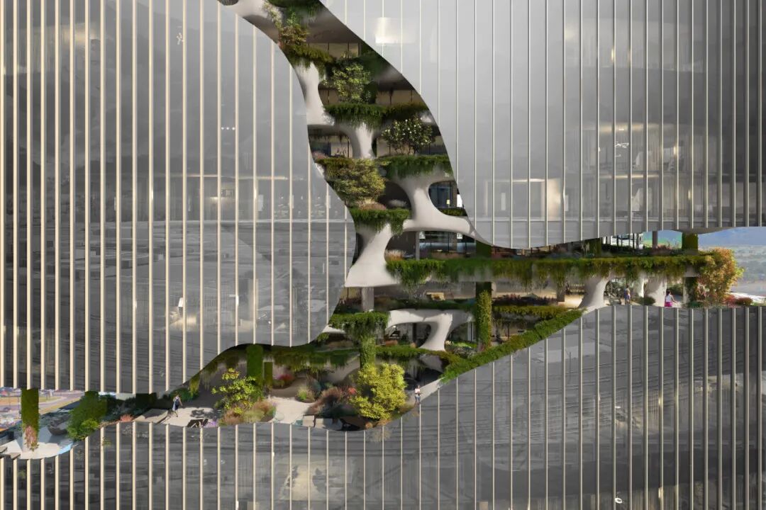 马岩松mad在美国的四个作品