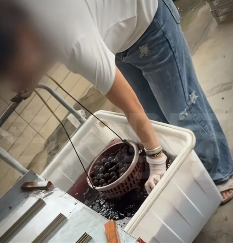 部分杨梅收购点存在违规使用添加剂问题。